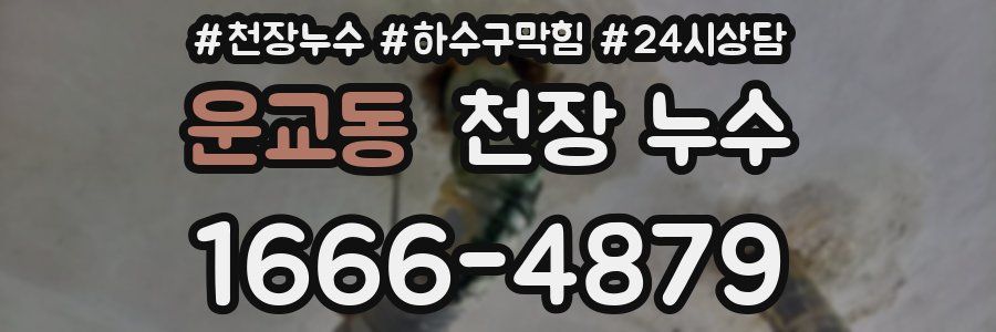 운교동 천장 누수