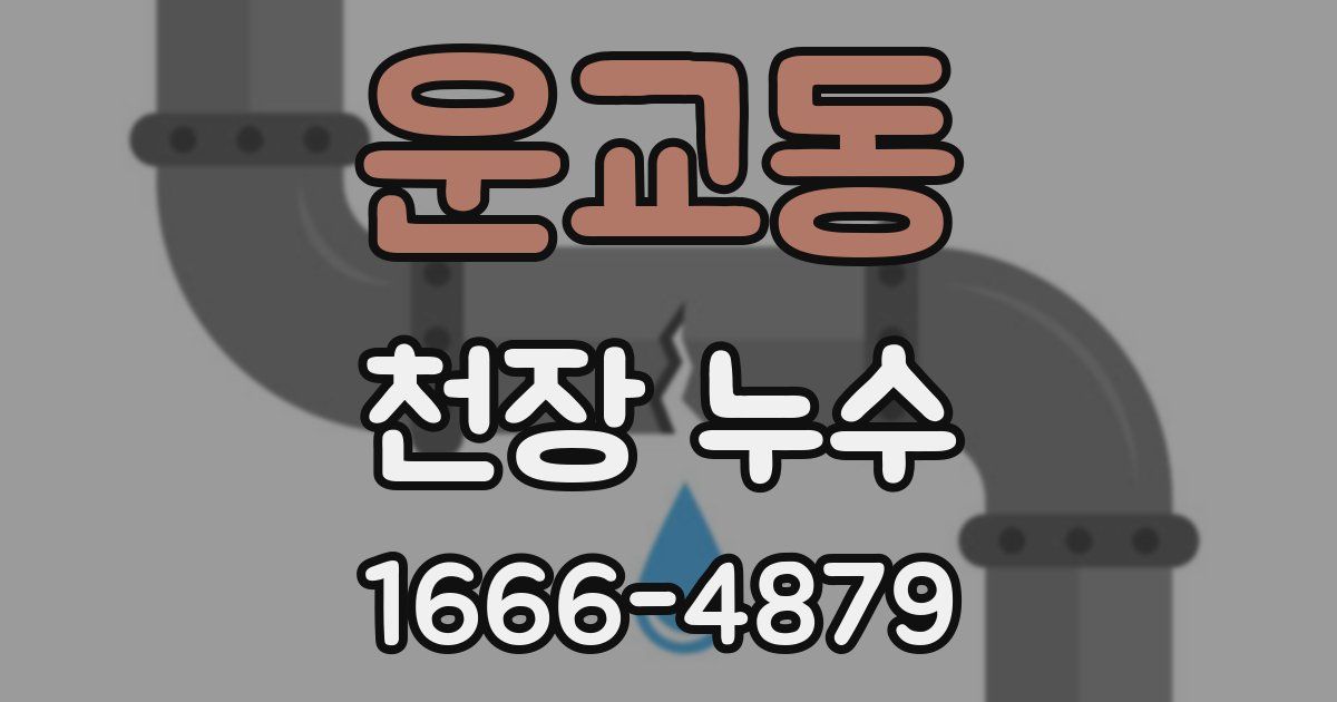 운교동 천장 누수