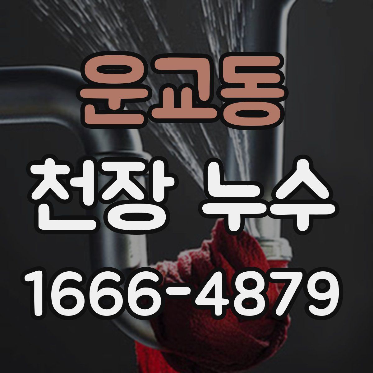 운교동 천장 누수