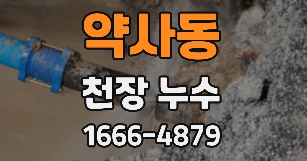 약사동 천장 누수