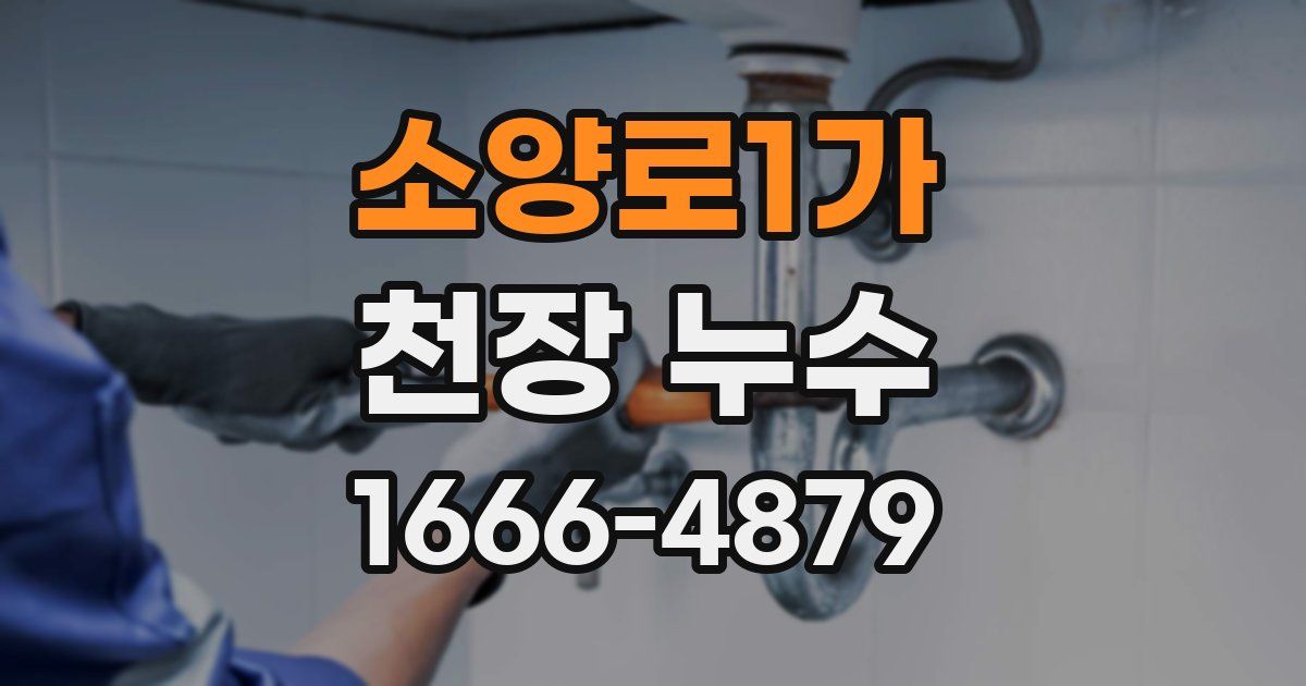 소양로1가 천장 누수