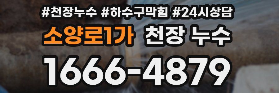 소양로1가 천장 누수