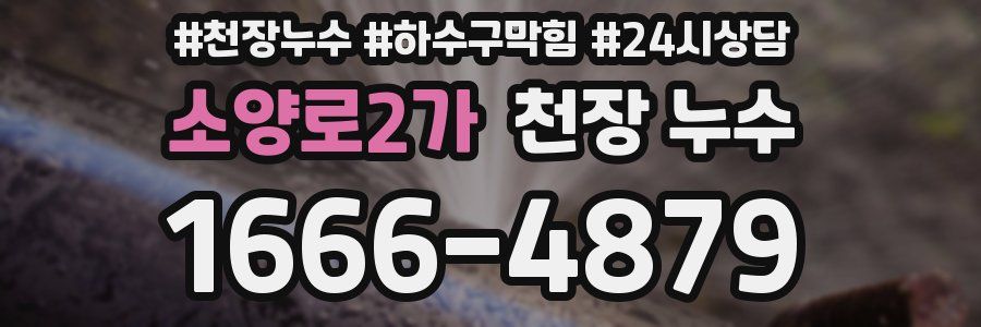 소양로2가 천장 누수