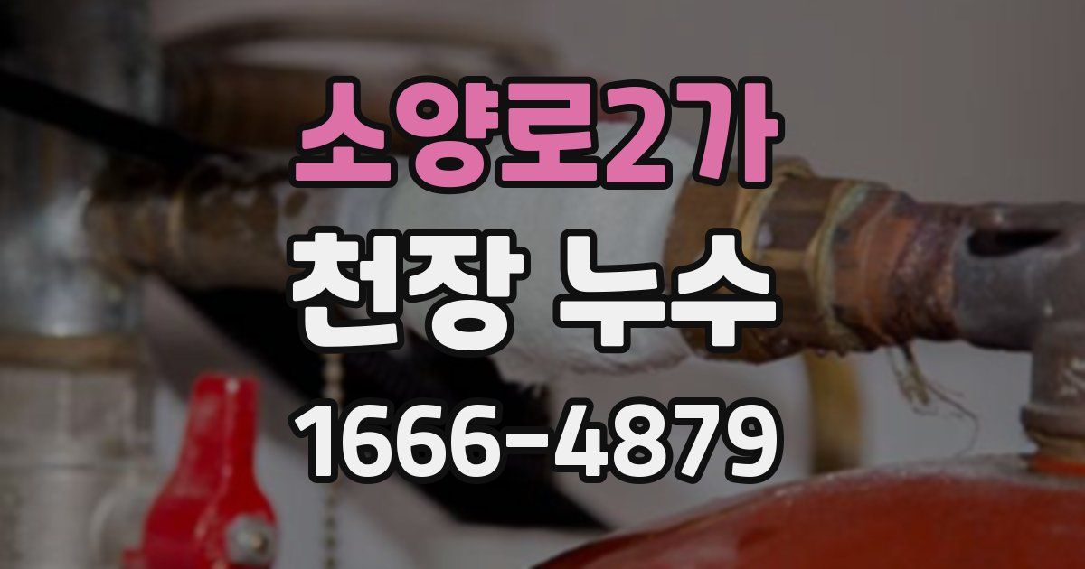 소양로2가 천장 누수