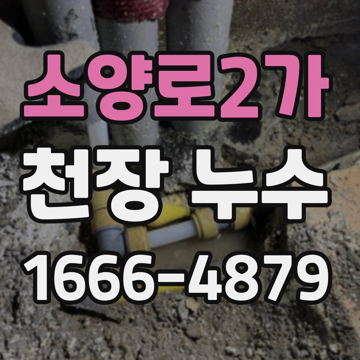 소양로2가 천장 누수