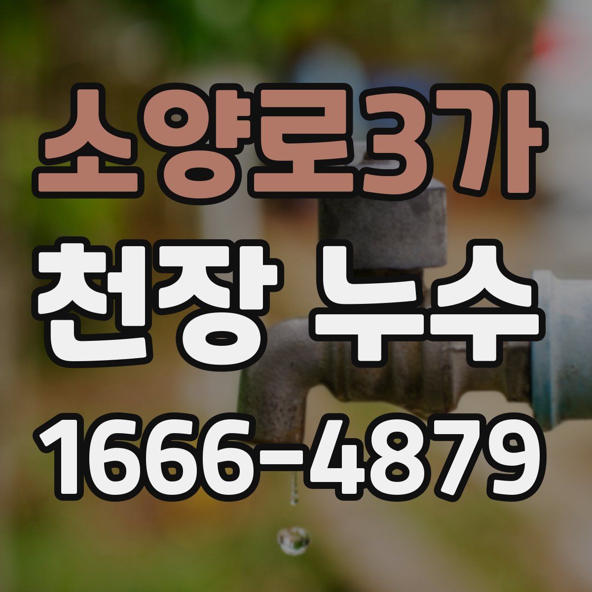 소양로3가 천장 누수