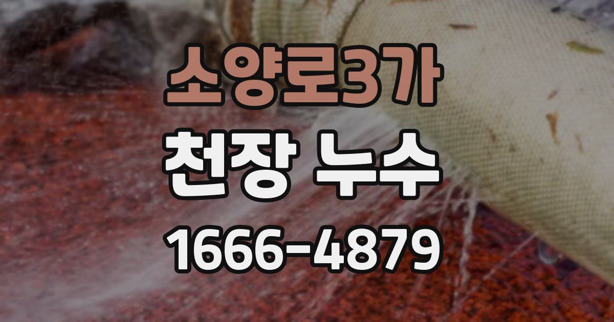 소양로3가 천장 누수