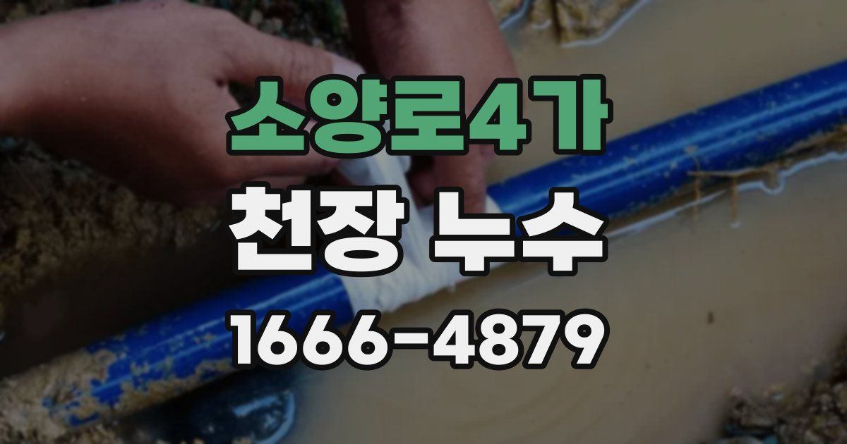 소양로4가 천장 누수