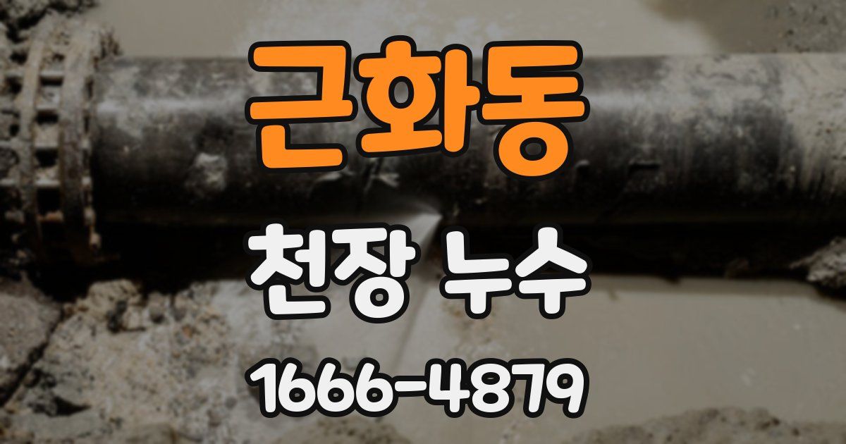 근화동 천장 누수