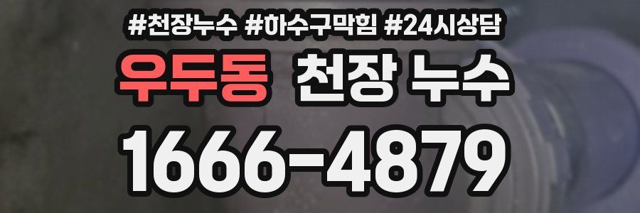 우두동 천장 누수