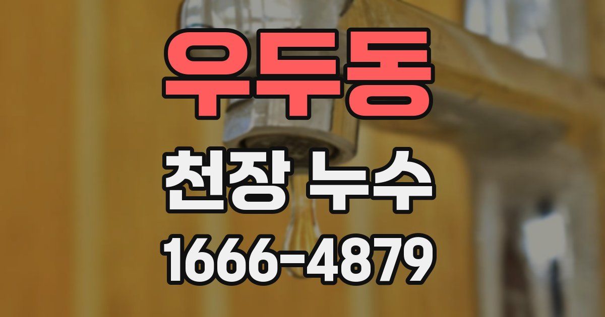 우두동 천장 누수