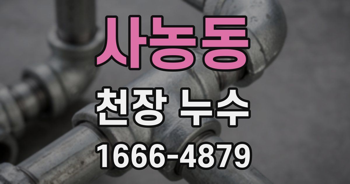 사농동 천장 누수