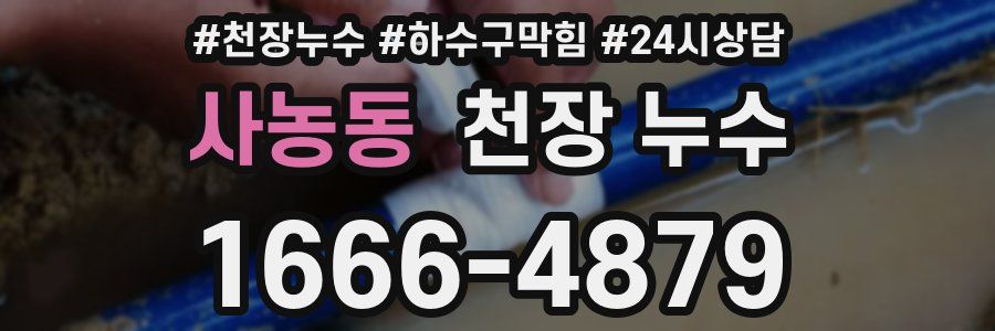 사농동 천장 누수