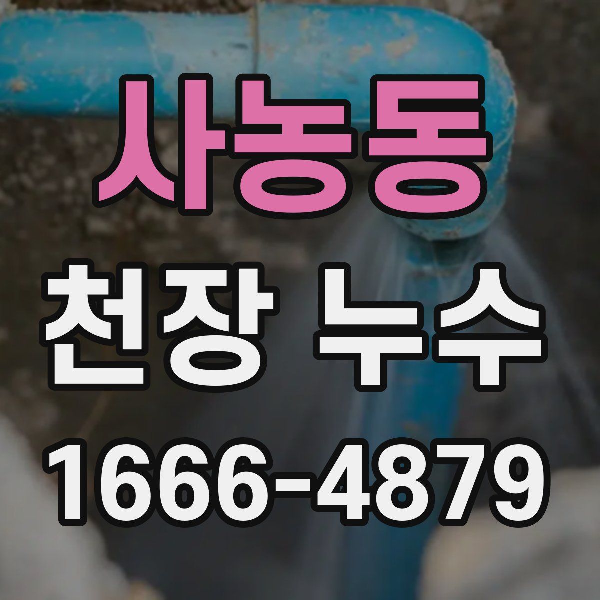 사농동 천장 누수