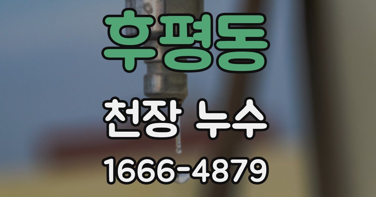 후평동 천장 누수
