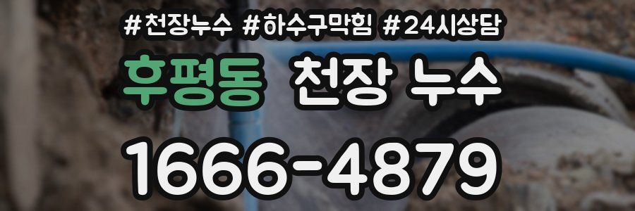 후평동 천장 누수