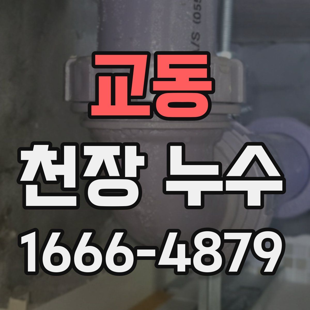 교동 천장 누수