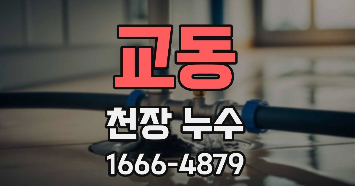 교동 천장 누수