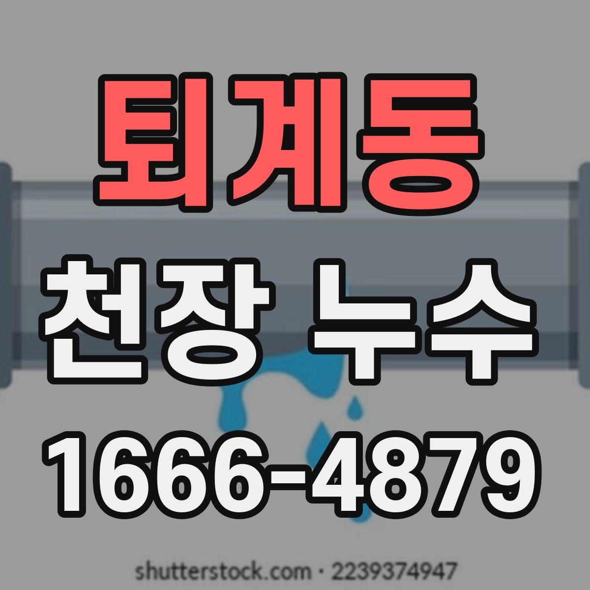 퇴계동 천장 누수