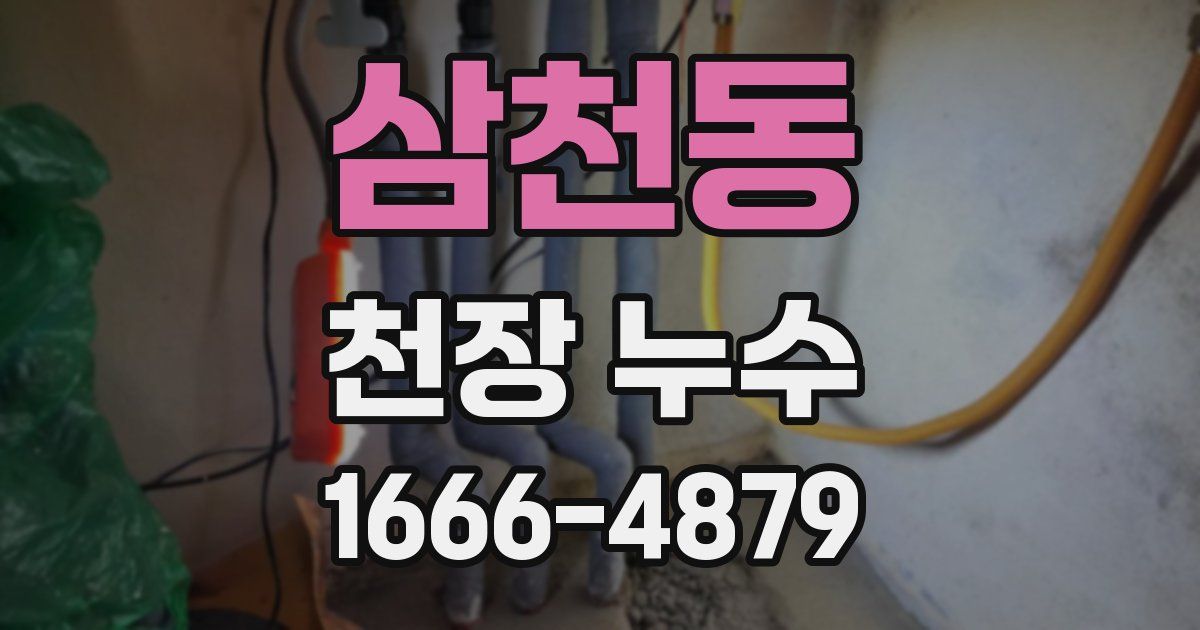 삼천동 천장 누수