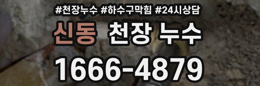 신동 천장 누수