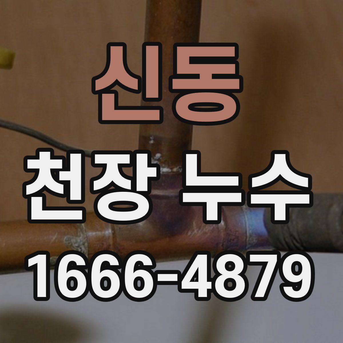 신동 천장 누수