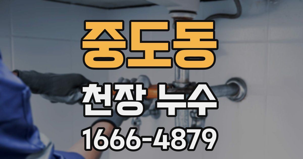 중도동 천장 누수