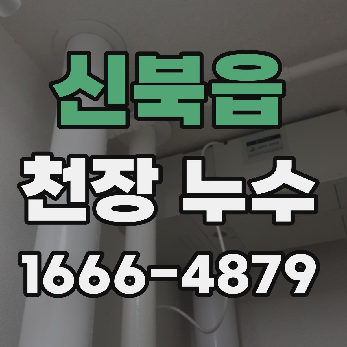 신북읍 천장 누수