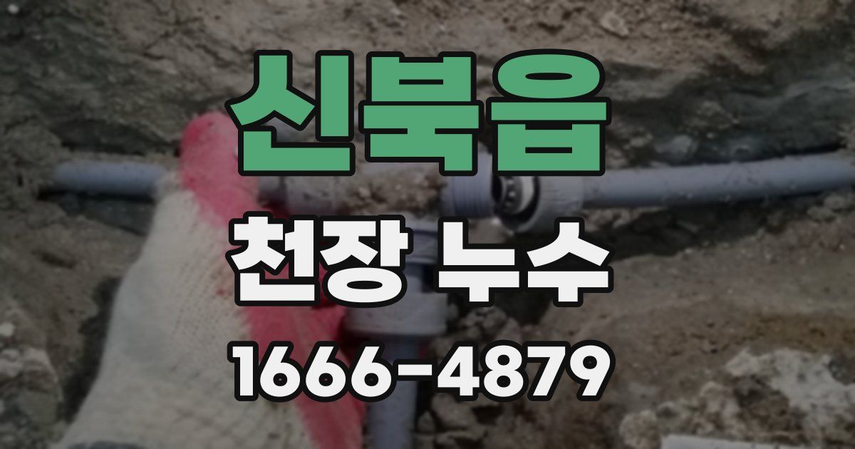 신북읍 천장 누수