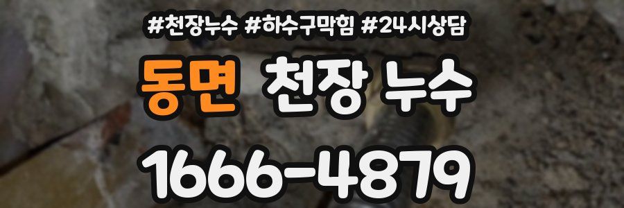 동면 천장 누수