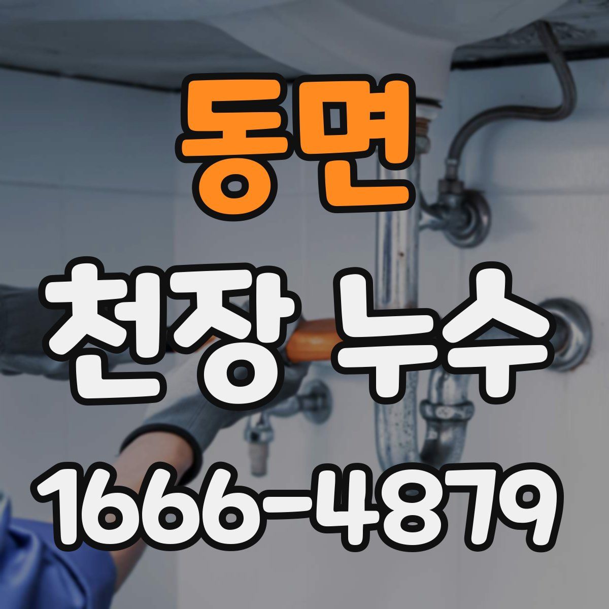 동면 천장 누수