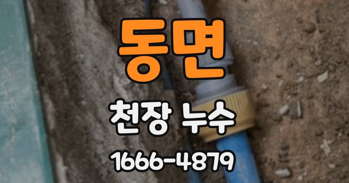 동면 천장 누수