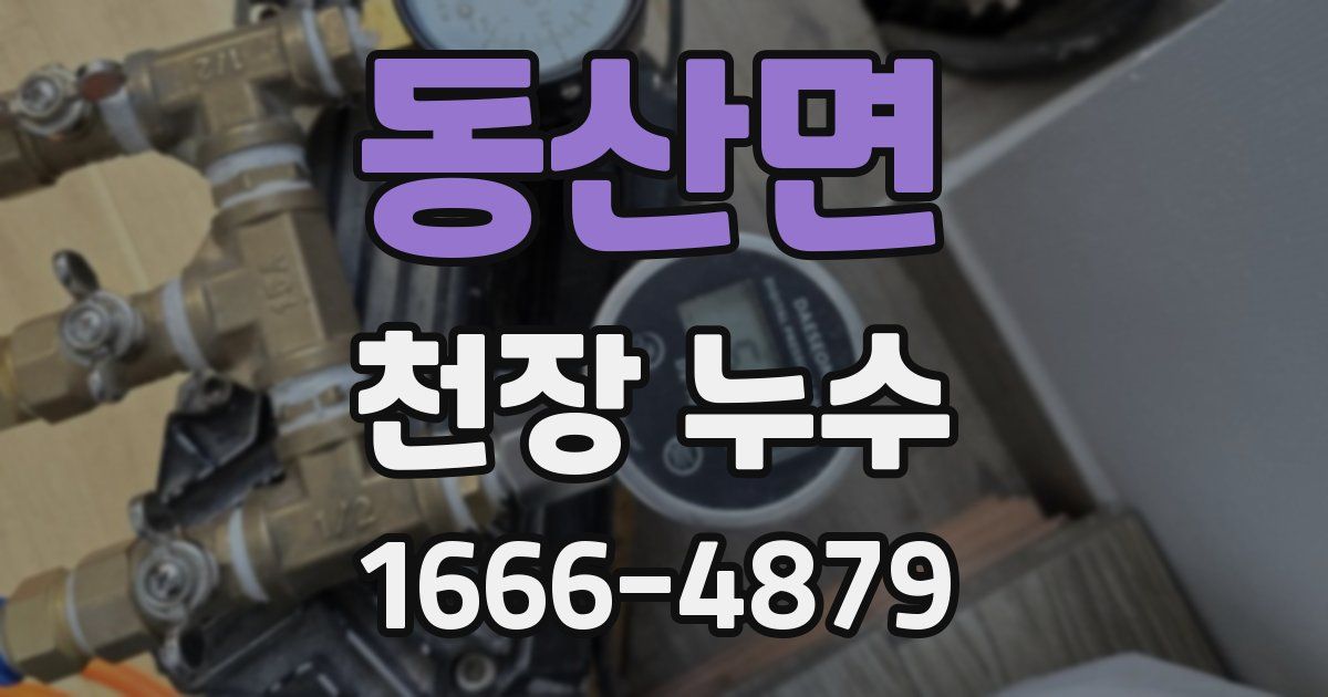 동산면 천장 누수