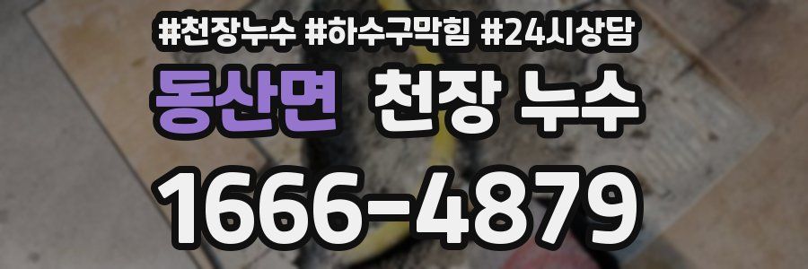 동산면 천장 누수