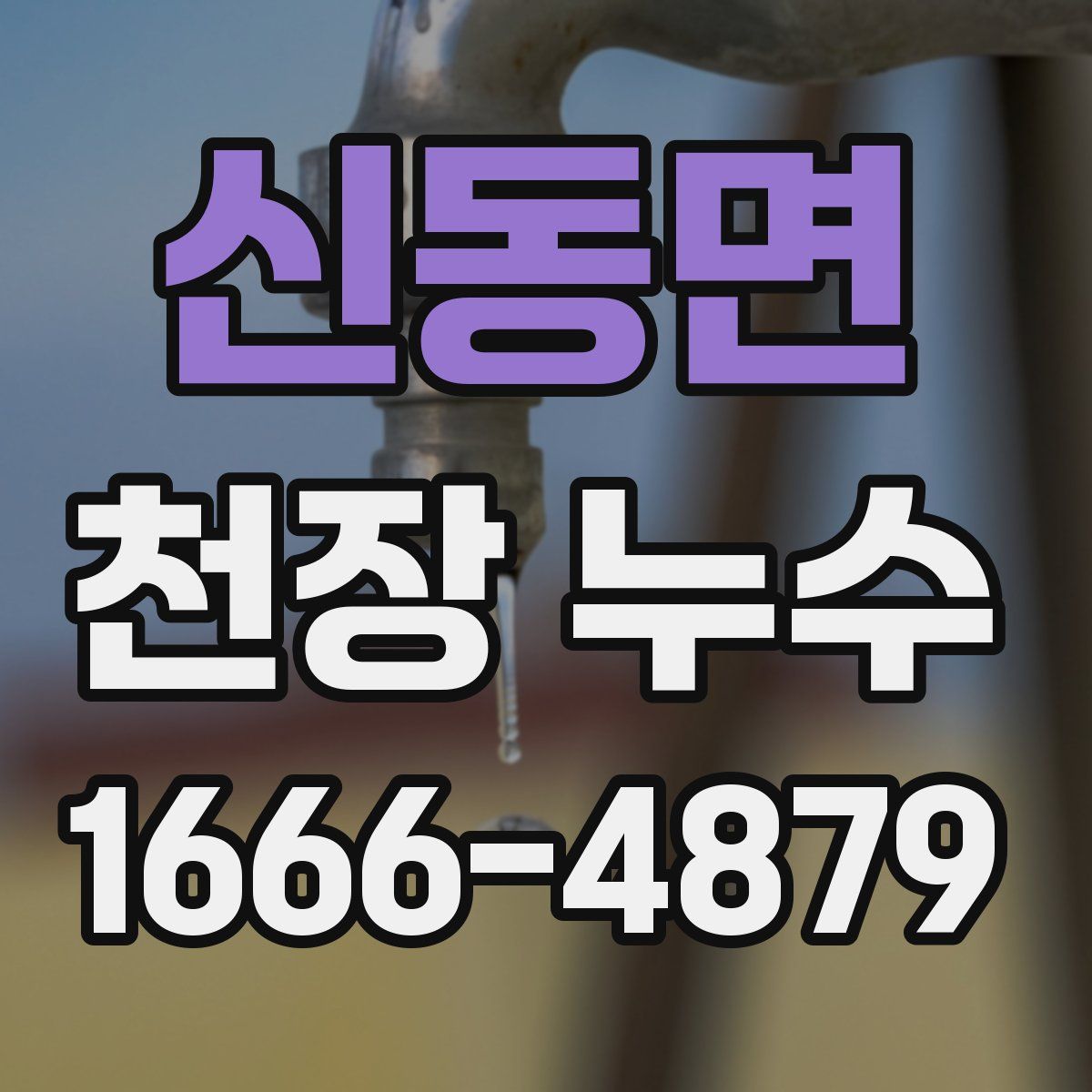 신동면 천장 누수