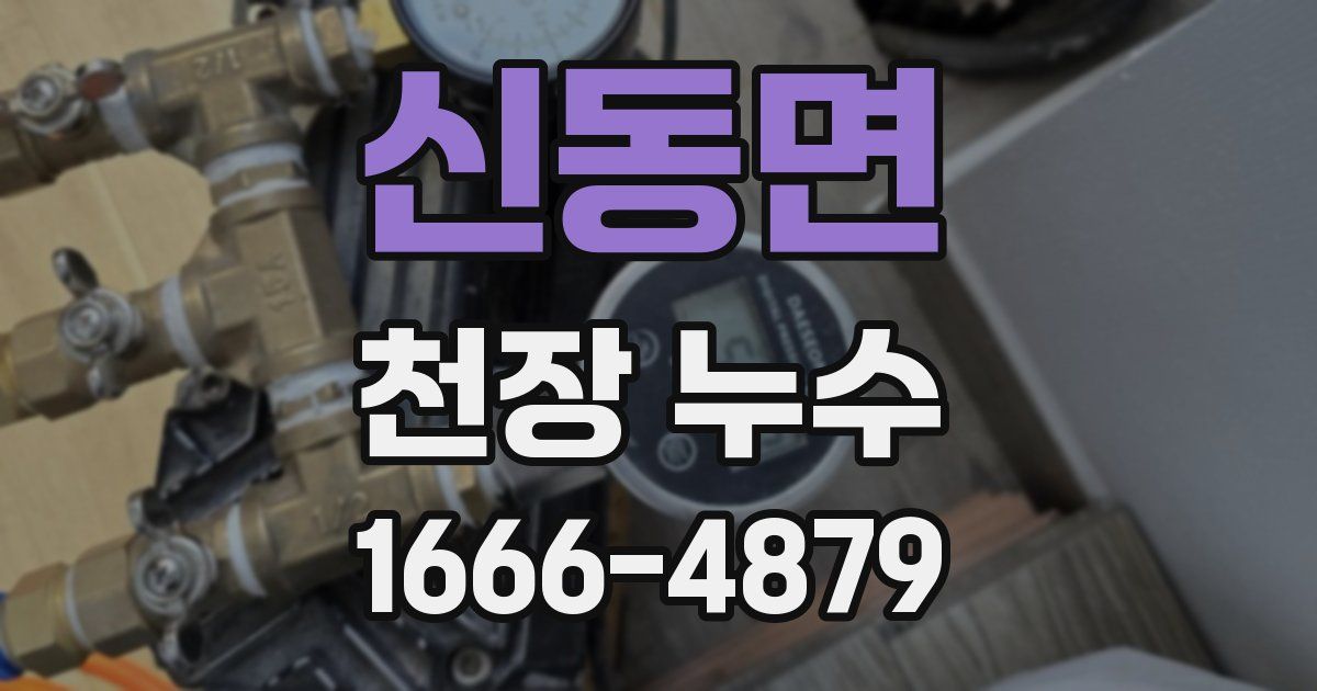 신동면 천장 누수