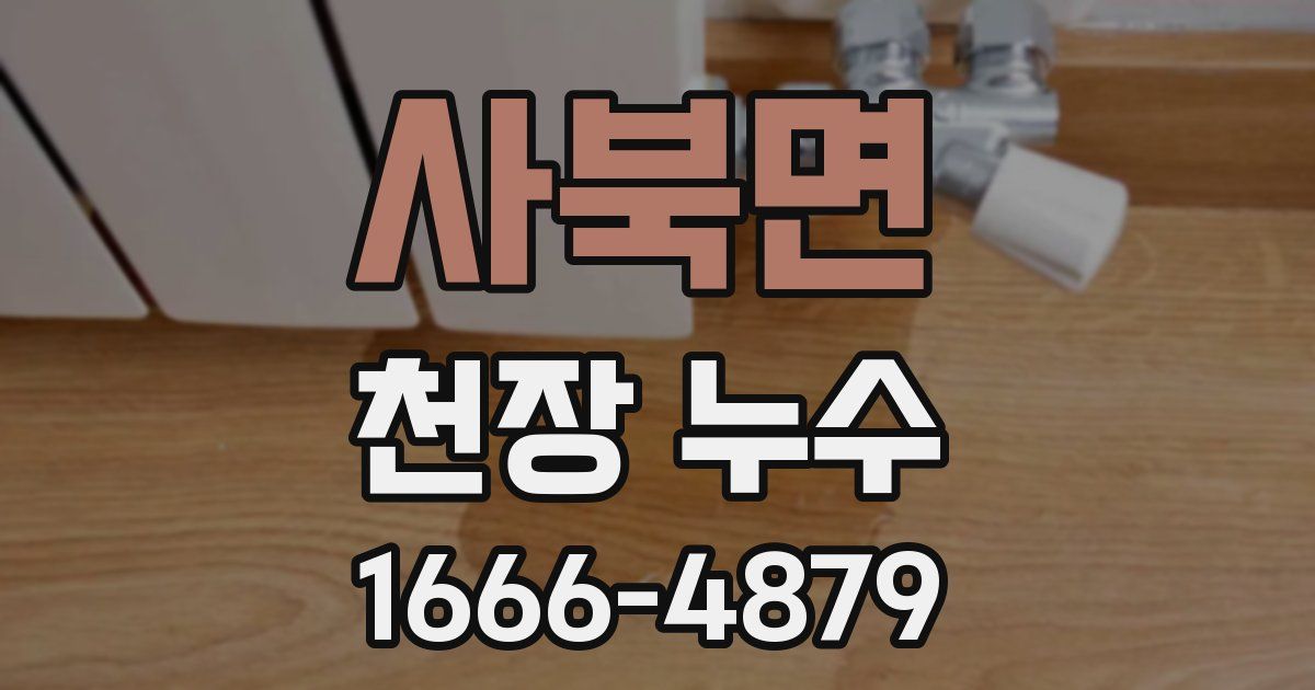 사북면 천장 누수