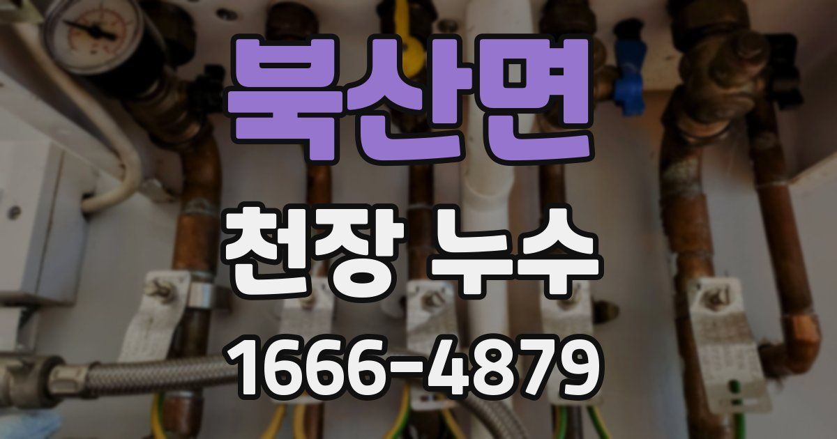 북산면 천장 누수