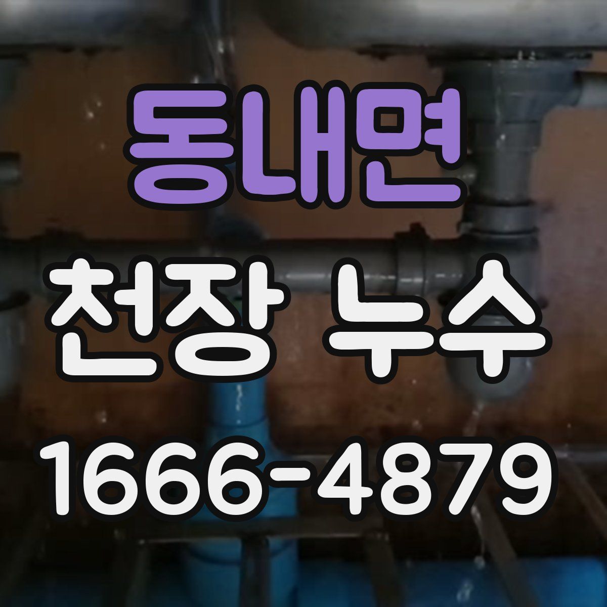 동내면 천장 누수