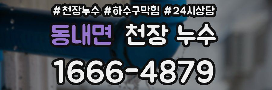 동내면 천장 누수