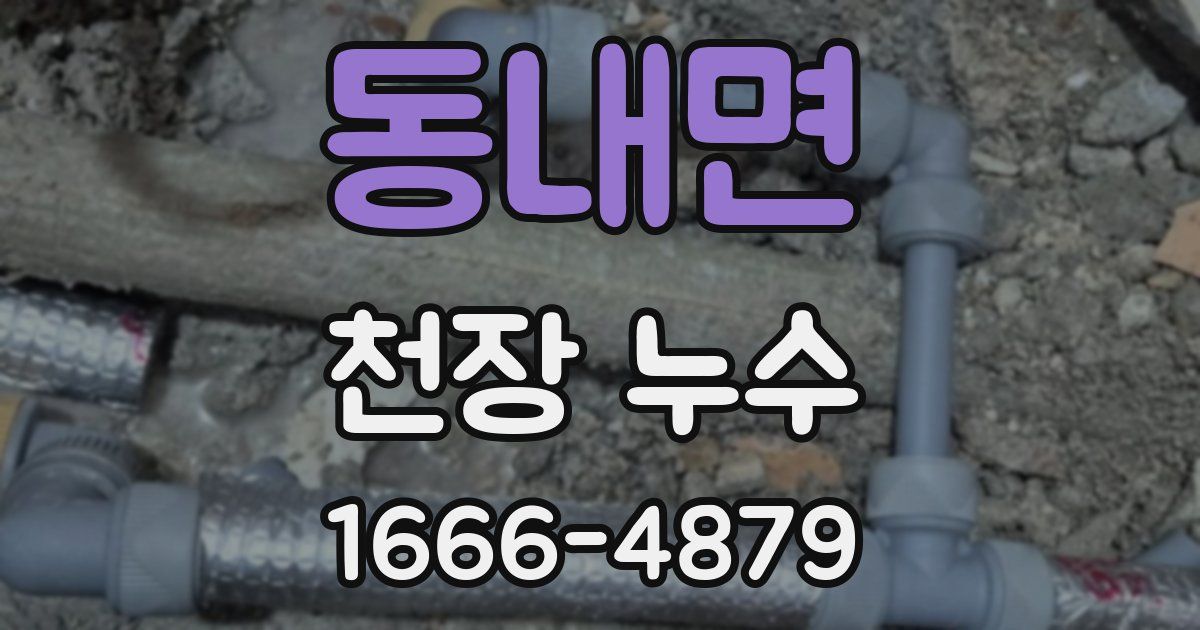 동내면 천장 누수