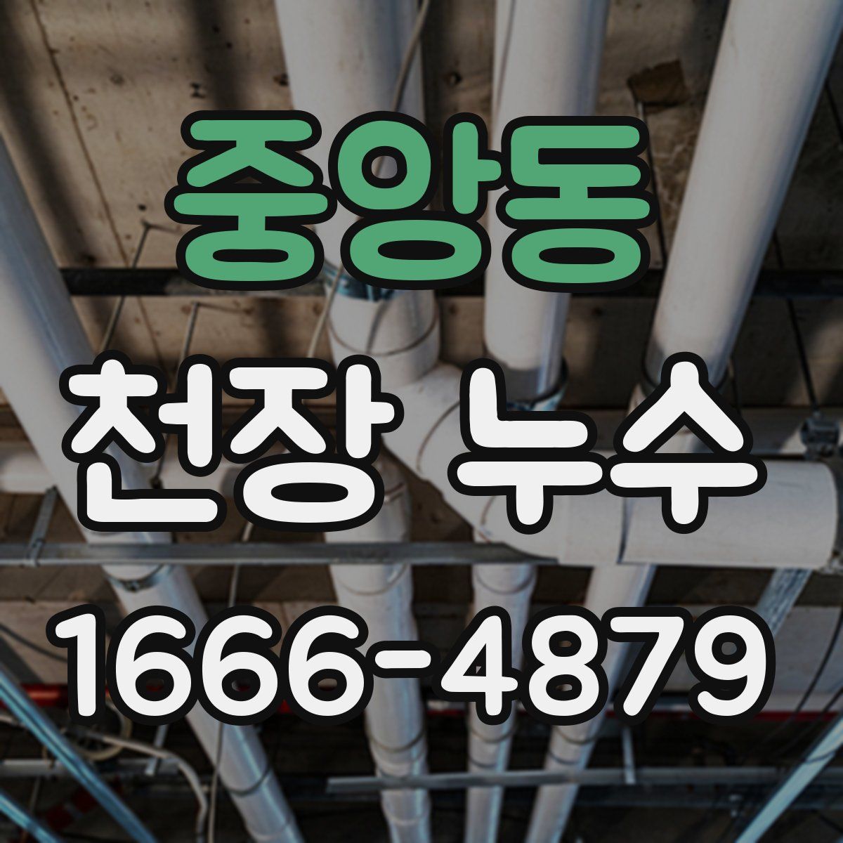 중앙동 천장 누수