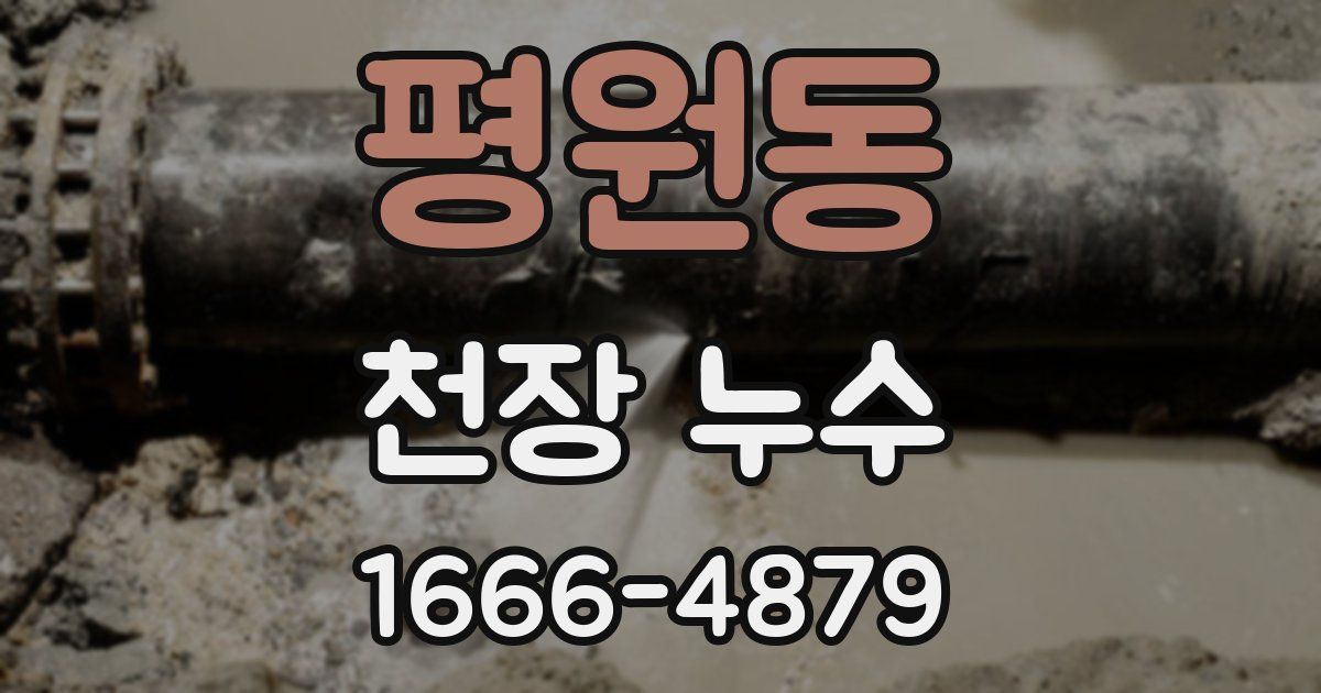 평원동 천장 누수