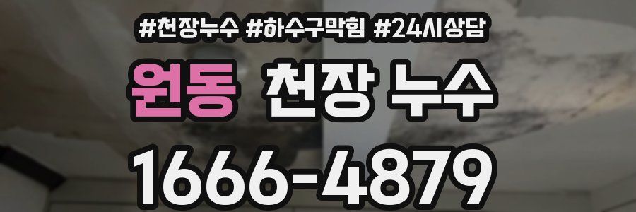 원동 천장 누수