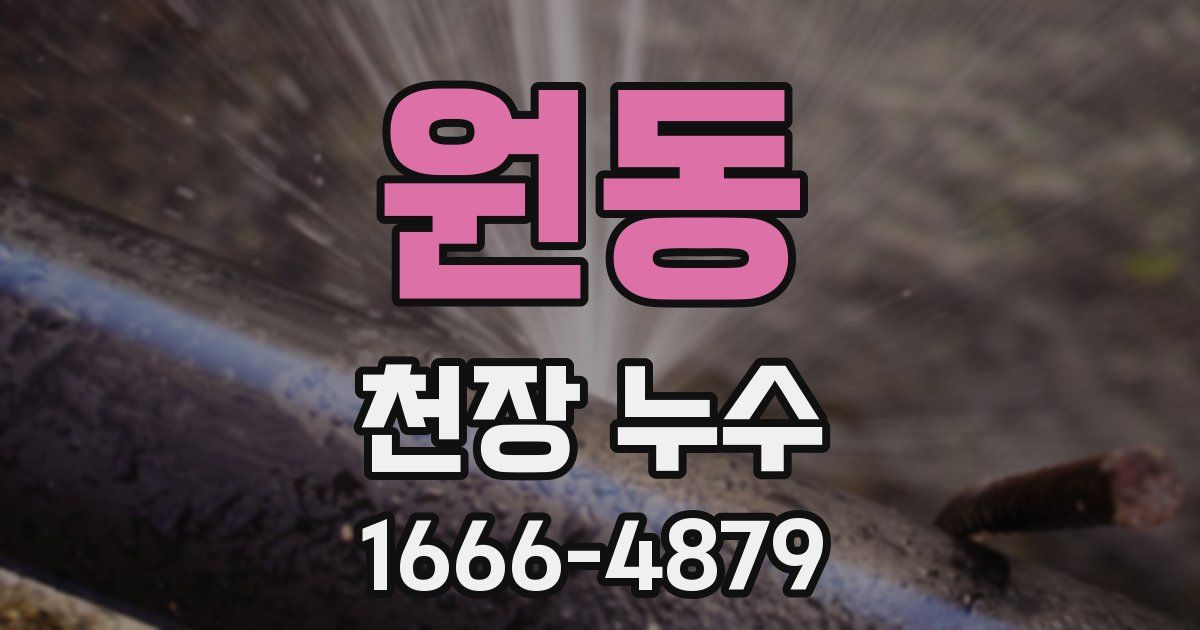 원동 천장 누수