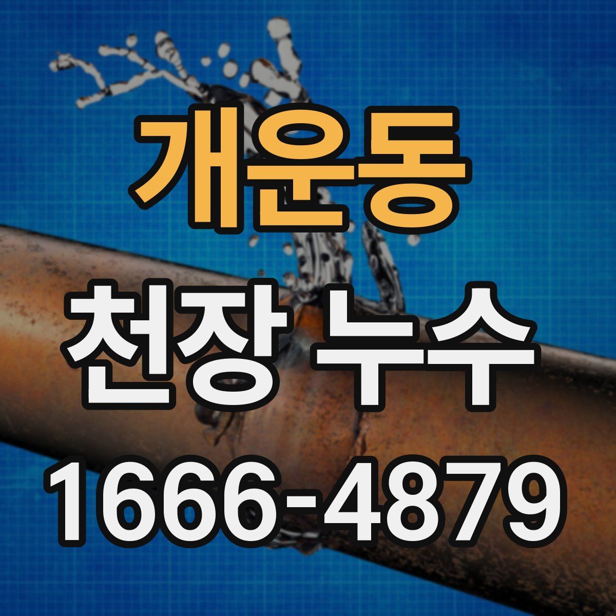 개운동 천장 누수