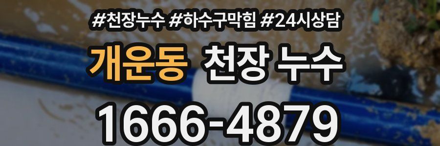 개운동 천장 누수