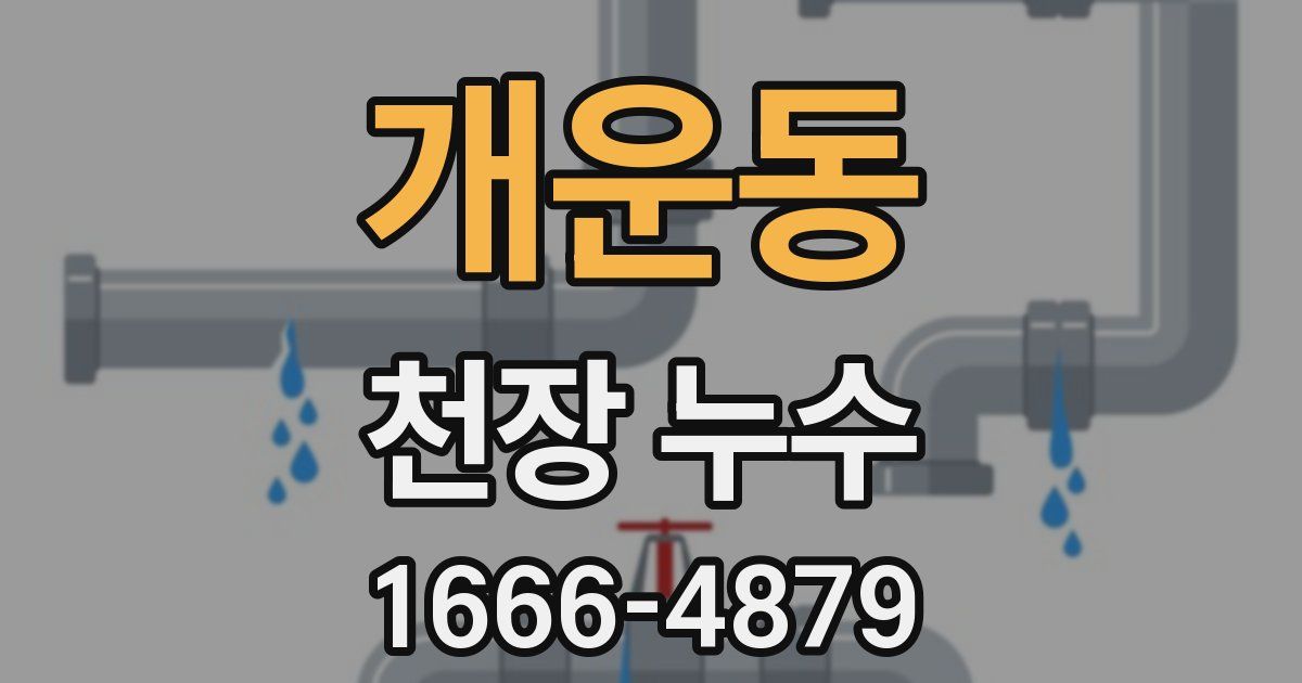 개운동 천장 누수