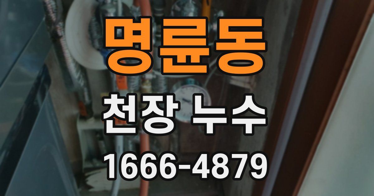 명륜동 천장 누수