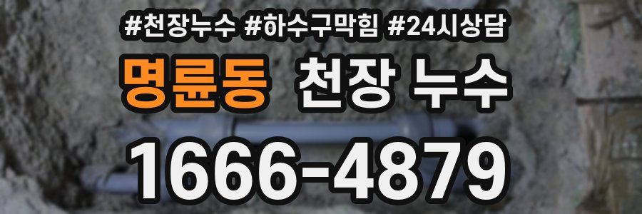 명륜동 천장 누수